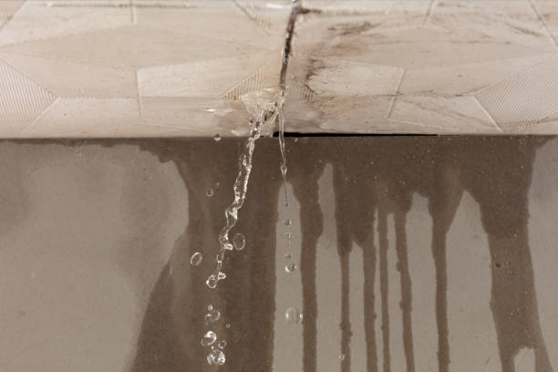 Professional Water Damage Repair technician working in Lansdowne, PA